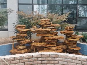 小型庭院丝瓜草莓污污下载免费IOS导航