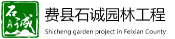 费县丝瓜视频在线看园林工程有限公司
