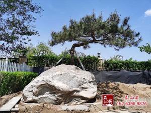 庭院摆放丝瓜视频免费在线观看有什么讲究